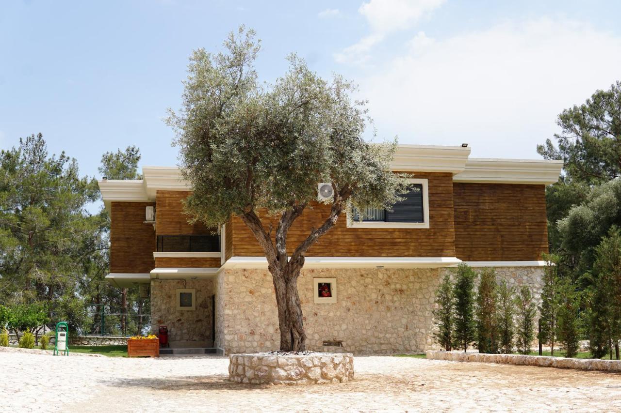 Silyan Villas Antalya Exterior photo